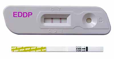EDDP Urine Test Device EDDP Urine Test strip and Cassette