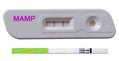 Methamphetamine Urine Test Device MET Urine Test strip and Cassette
