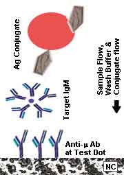 DGFIA Capture Method Illustration