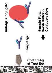 DGFIA Indirect Method Illustration