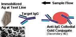 GICA Indirect Method Illustration